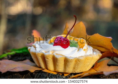 Cake with cherries in autumn leaves