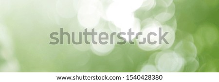 Abstract blur green color and spring effect adjustment concept for design Green leaves with light  the sun survives beautifully for blurred backgrounds