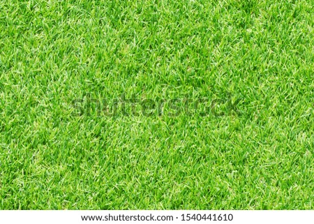 Football Field Artificial Grass Public Park