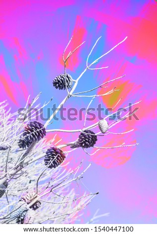 Abstract colorful Christmas background with pinecone and branches. Pop art, trendy greeting card. Christmas decoration background. Winter holiday symbol