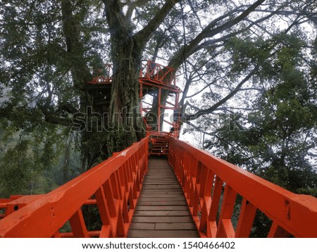Red Bridge. Located Bogor, West Java. Red Bride to Home tree. This picture was taken December 6, 2018. Selective Focus