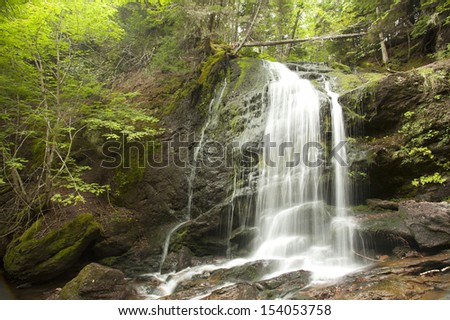 peaceful forest waterfall with blur motion