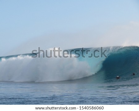 surfing in tropical paradise island of tahiti