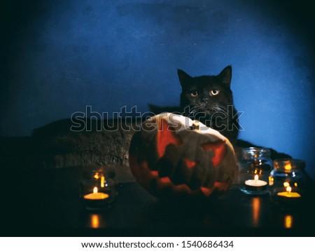 black cat lies on a table next to a pumpkin and burning candles in a jar