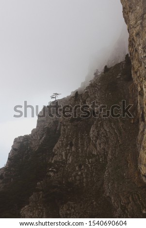 Cliffs and mountains in the fog. Mystical picture of the mountains in the fog. Beautiful autumn landscape of the Crimean mountains. Ai-Petri.