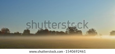 fog at ground level on a field