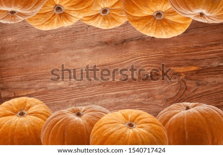 Orange pumpkins spout up stalks on terracotta background of their wood for design