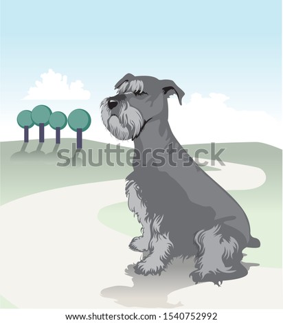 clip art illustration of a schnauzer dog