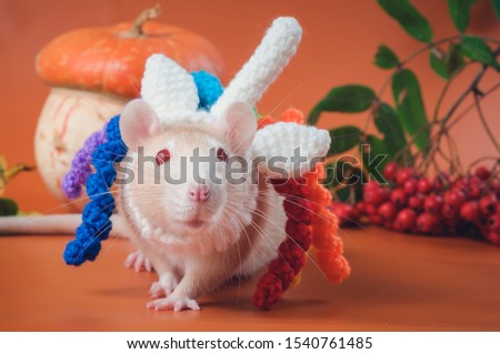 Cute rat with red eyes in a unicorn costume. Chinese New Year symbol