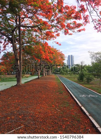 A picture of running track in public park covered with red leaves falling from trees in autumn along with the river in the center of the city