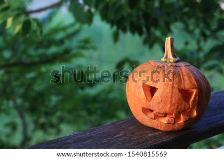 Halloween pumpkin jack o lantern put on plank of wood with blurred green tree background