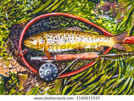 Trout in a fishing net. Fisherman caught a salmon fish on river. Fly fishing equipment, rod, reel, line.  