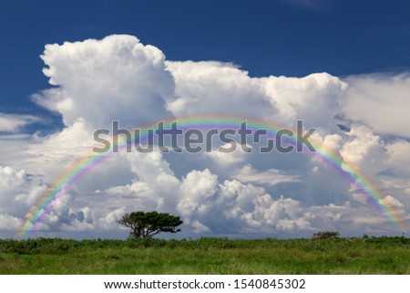Rainbow after the rain Okinawa scenery