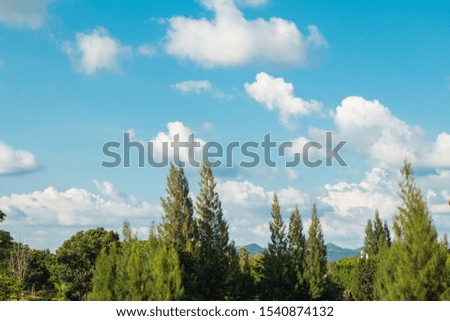 Tropical landscape view of white clouds in blue sky with green trees in winter seasonal.