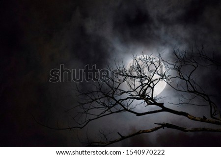 Dry twigs moon background halloween