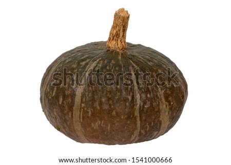Pumpkin isolated. Close-up of a green Blue Kuri pumpkin isolated on a white background. Healthy nutrition. Macro.