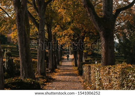 Autumn at the cemetery in Europe.
