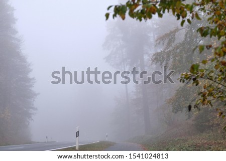Lonesome empty countryside road with delineators and a bicycle path along leading through a forest with dense fog. Seen in October in Germany in Franconia / Bavaria.
