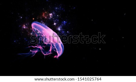 magical colorful jellyfish underwater in the dark Royalty-Free Stock Photo #1541025764