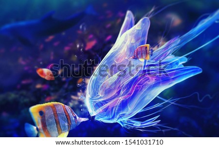 magical colorful jellyfish underwater  in the dark Royalty-Free Stock Photo #1541031710