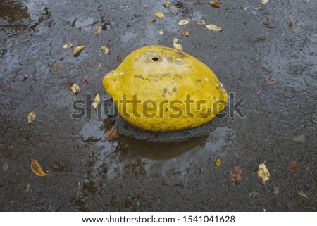 
Lemon playground equipment wet in the rain.