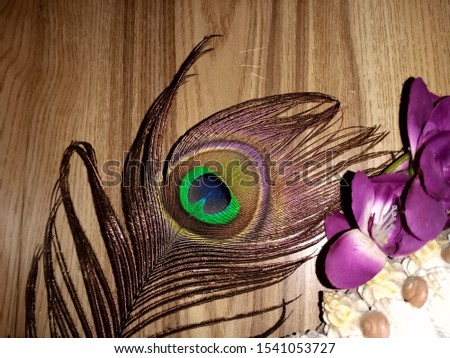 Beautiful and artistic Peacock feather, Purple Flower, and white shell