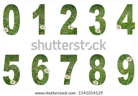 Flower collage. Numbers 0 to 9 from grass and flowers on a white background.