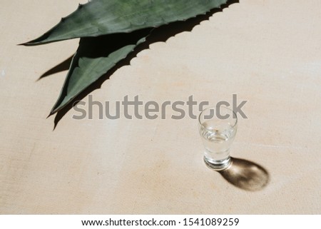 Mezcal is a mexican distilled alcoholic beverage made from any type of oven-cooked agave.  Royalty-Free Stock Photo #1541089259