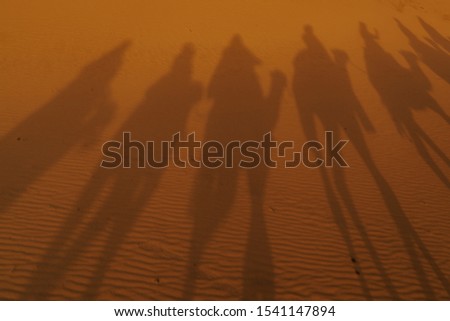 The shadow of the camel on the desert at Merzouga,Sahara Desert, 