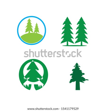 pine tree logo illustration vector design