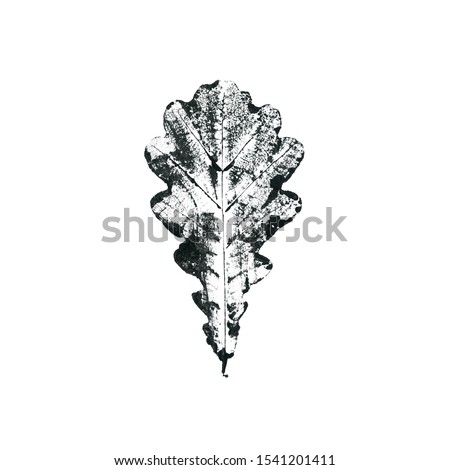 Leaf ink stamp. Black isolated on white background. For prints, interior decoration, cards and covers.
