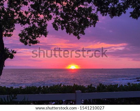 Colorful sunset with the silhouette of a tree in the foreground. Photo taken in Kona on Big Island, an island in Hawaii