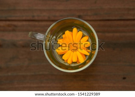 Transparent glass Cup with herbal tea and calendula flower on dark wooden background. The view from the top.