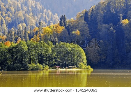 Autumn water colorful yellow mountain leaf nature 