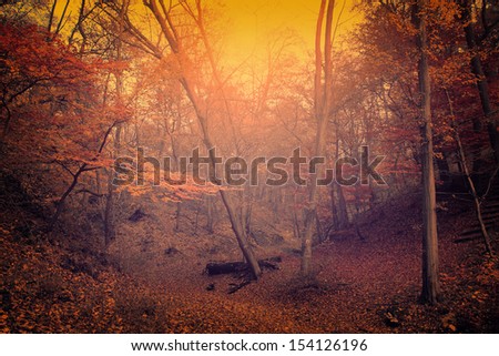 Vintage photo of autumn scene