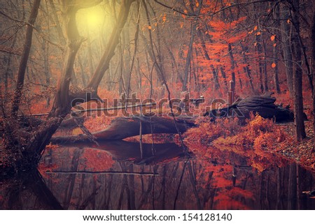 Vintage photo of autumn scene