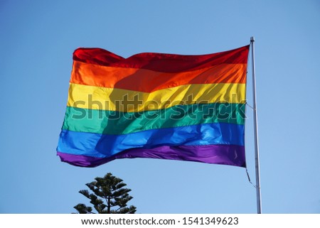 LGBT pride flag or Rainbow pride flag include of Lesbian, gay, bisexual, and transgender flag of LGBT organization. image from Castro District, San Francisco California in the United States