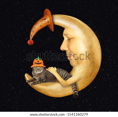 The cat in a Halloween pumpkin cap lies on the moon in a witch hat. Stars background.