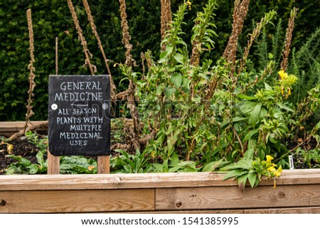 Herbal Garden in Saughton Park, Edinburgh, Scotland