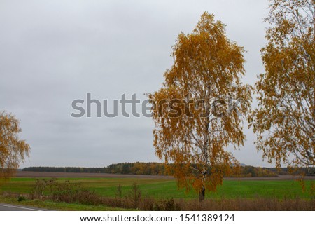 Beautiful autumn landscape, field and trees