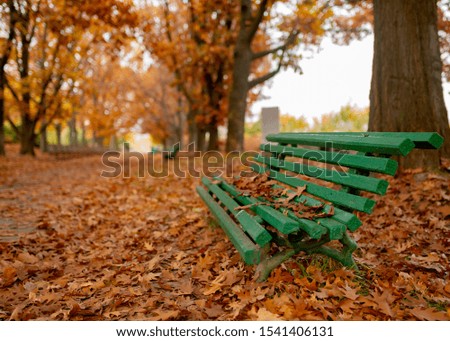 Brown leaves on a bench in the autumn park