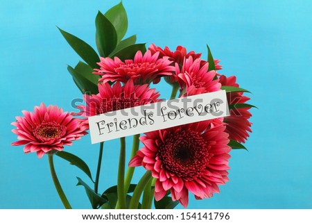 Friends forever card with pink gerbera daisies on blue background 