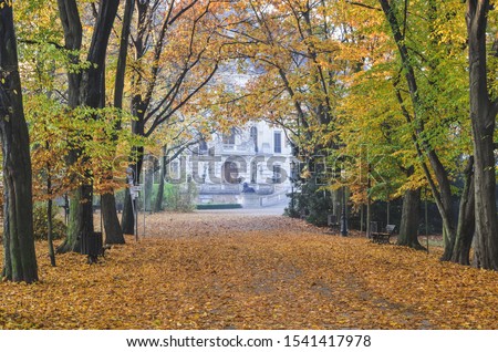 Beautiful autumn landscape. Colorful tree leaves in a city park.