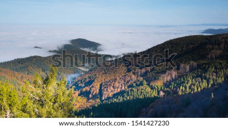 View from the black forest (Schauinsland) to the foggy rhine area in Germany