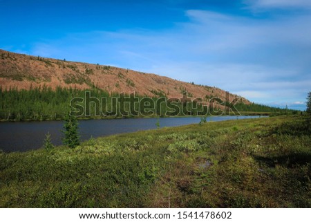 Panoramic view of tundra fields, Polar Ural, Russia