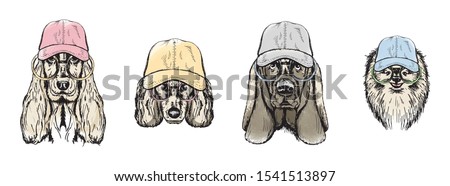 Dogs in glasses and cap. Modern sketch set in color on white background