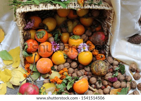 harvesting autumn fruits and vegetables. selective focus	
