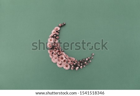 Composition of pink flowers in the shape of a crescent Royalty-Free Stock Photo #1541518346