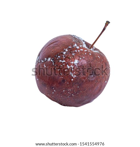 Rotten apple isolated on a white background. Concept: spoiled foods, fruit storage, toxins and poisons, fruit tree disease.