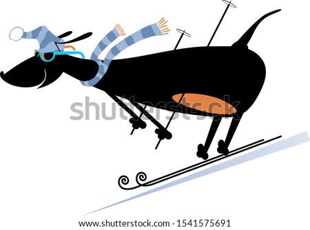 Cartoon downhill skier dog illustration. Dachshund downhill skier isolated on white
